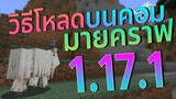 วิธีโหลด Minecraft 1.17.1 บนคอม  l มายคราฟ ตัวเต็ม ล่าสุด