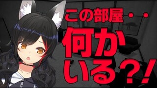 【監視カメラ】お部屋に異常がないかどうか見張るよ！！！【ホロライブ/大神ミオ】