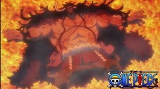 Reaksi Teman2 Luffy Setelah Mengalahkan Kaido | One Piece