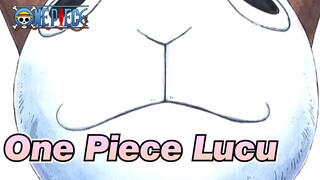 [One Piece] Adegan Lucu Sky Island Saga 2