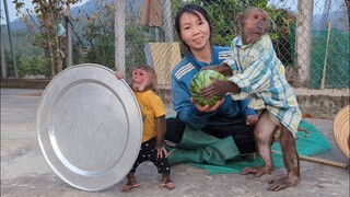 OLY working, ABU studying | Mom gives a watermelon reward to OLY ABU