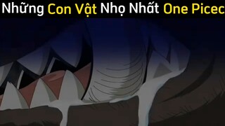 Những con vật nhọ nhất one picec phần 2