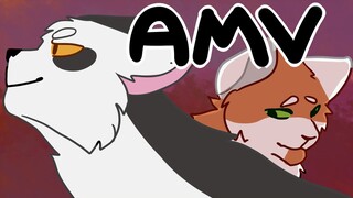 Swiftpaw AMV | One Way or Another