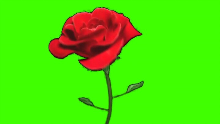 3D animation