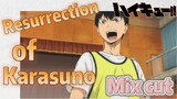 [Haikyuu!!]  Mix cut |  Resurrection of  Karasuno