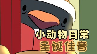 圣诞佳音🐧🚀🎄-【小动物日常 | Natural Habitat Shorts】中英双字