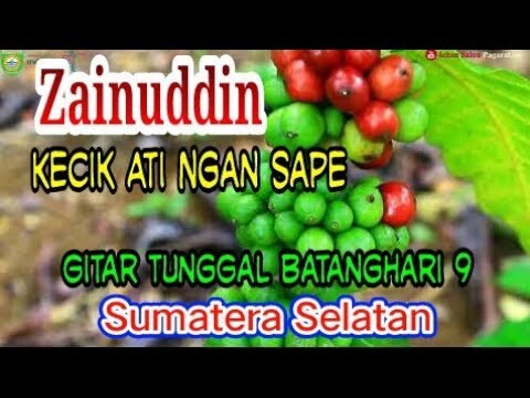 ZAINUDDIN -  HARAPAN PANJANG / NGA SAPE NGECIK ATI  - GITAR TUNGGAL BATANGHARI SEMBILAN LAHAT
