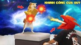 Thú Cưng Vlog | Chó Shiba Ngầu Nhất và Si Lùn #12 | Chó thông minh vui nhộn | Smart dog funny pets
