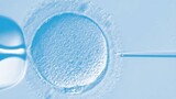 IVF Lab Tour - What happens Inside (Fertilization by ICSI to Embryo Transfer)