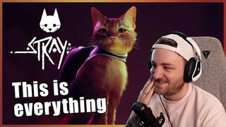 Cuteness at 1,000% | Stray | Gameplay Walkthrough Trailer | Reaction