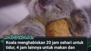 siapa nih yang hidupnya kayak ini