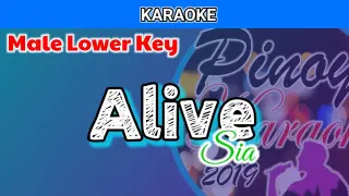 Alive by Sia (Karaoke : Male Lower Key)