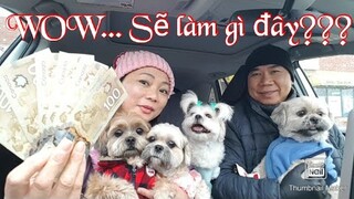 Bốn bé dễ thương được tiền may mắn sẽ làm gì đây???|What will four cute babies with lucky money do??