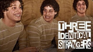 Three Identical Strangers แฝด3