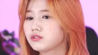 【SANA | 可爱向】柴柴是怎么叫的（第一只柴）