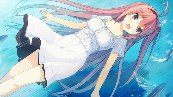 [Still MAD] Towards the Blue Beyond [Ao no Nakadashi Quartet]