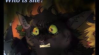 || Who is she? || Hollyleaf warrior cats PMV