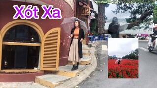 Xót Xa - Review các góc đẹp của Dalat ngày mưa|Du lịch Đà Lạt.