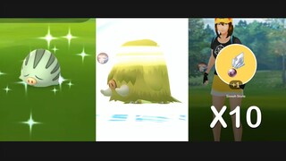 Swinub Community Day | Evolving into Shiny Mamoswine in Pokemon Go!