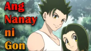 Gon Freecss Mother Reveal