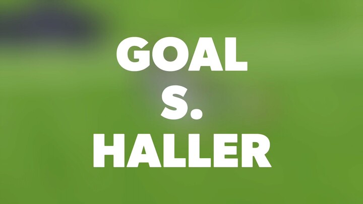 Goal S. Haller