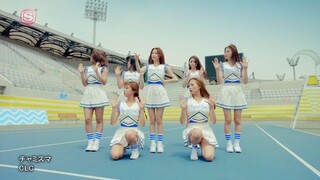 CLC Chamisma MV