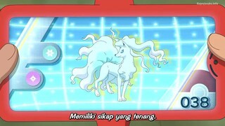 Pokemon (2019) - 071