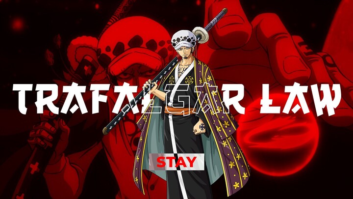 Trafalgar Law - Stay | AMV