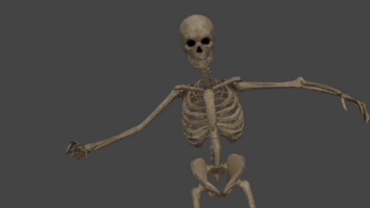 SKELETON PUSH UP ANIMATION 💀