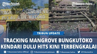 Wisata Tracking Mangrove Pulau Bungkutoko Kendari, Dulu Hits Kini Terbengkalai dan Tampak Angker