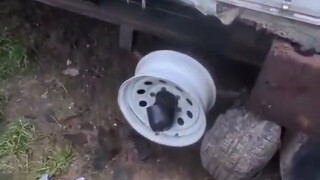 【Funny daily life of Earth creatures#159】