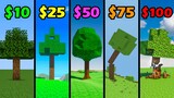 minecraft for 10$ vs 25$ vs 50$ vs 75$ vs 100$