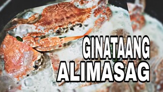 How to cook Ginataang Alimasag/ Alimango / talangka with sitaw