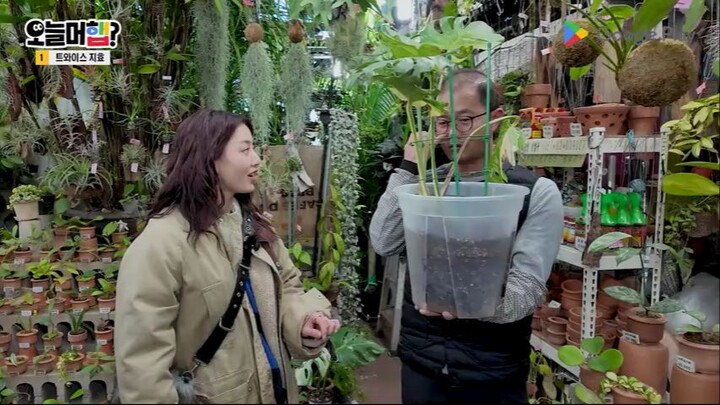 jihyo google play episode 2025
