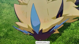 Pokemon AMV cực hay|  Pokemon Zeraora  Ignite #amv #pokemon