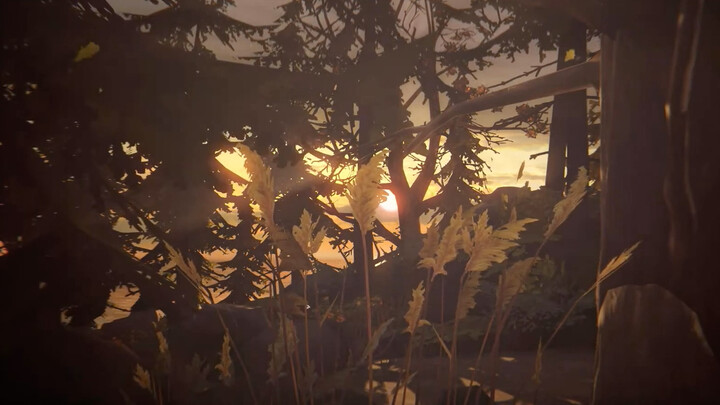 Life is strange view