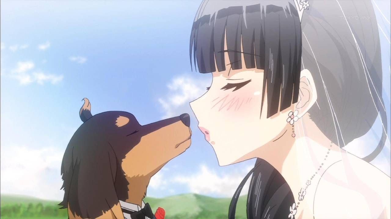 Top 7 chú chó nổi tiếng trong thế giới anime, cái tên nào khiến bạn ấn  tượng nhất?