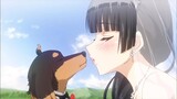 Chuyển Sinh Thành Chó ,Tôi Kết Hôn Với Cô Chủ Xinh Đẹp | Review Anime Hay | Tóm Tắt Anime