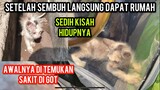 Kisah Anak Kucing Menangis Sakit Di Selokan Akhirny Dapat Tempat Tinggal..!