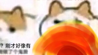 Đa vũ trụ từ trường • Cú đấm nổ của rồng mèo
