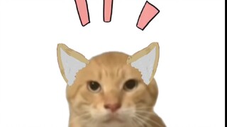 【Old Cat Girl】Nyanyanyanyanyanyan