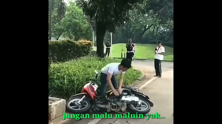 VIRALLLL