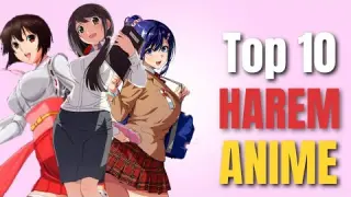 TOP 10 HAREM ANIME (Hindi) | You Should Watch If Your An Otaku | Aniflix Review