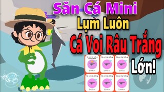 PLAY TOGETHER | SĂN CÁ MINI MÀ RA TOÀN CÁ VOI RÂU TRẮNG LỚN | QUÍ KA