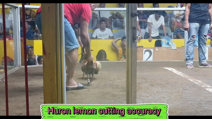 Huron Lemon Cutting Accuracy