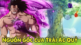 Nguồn Gốc Thực Sự Của Trái Ác Quỷ - Phân Tích One Piece