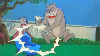 Funny video|Tom and Jerry|Suka Bleu