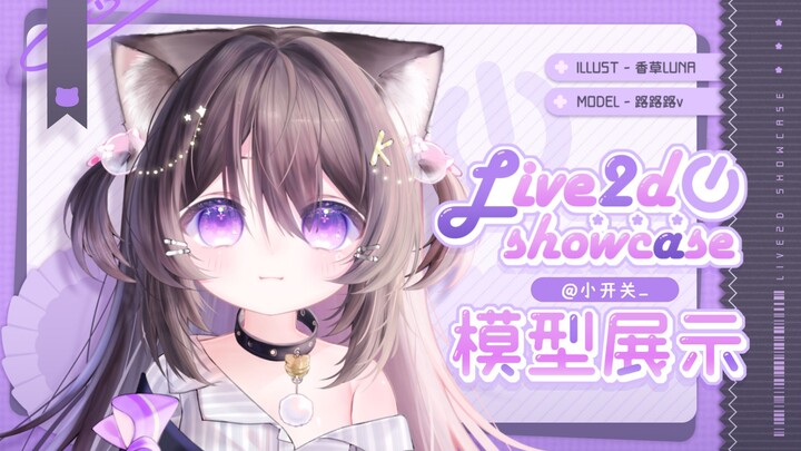 【Live2D模型展示】布偶猫猫小开关2.0