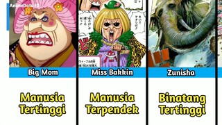 KARAKTER TERTINGGI TERPENDEK TERTUA DI ONE PIECE⁉️