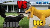 Skunk vs Dog | Animal Fight Club [S2E5] | SPORE